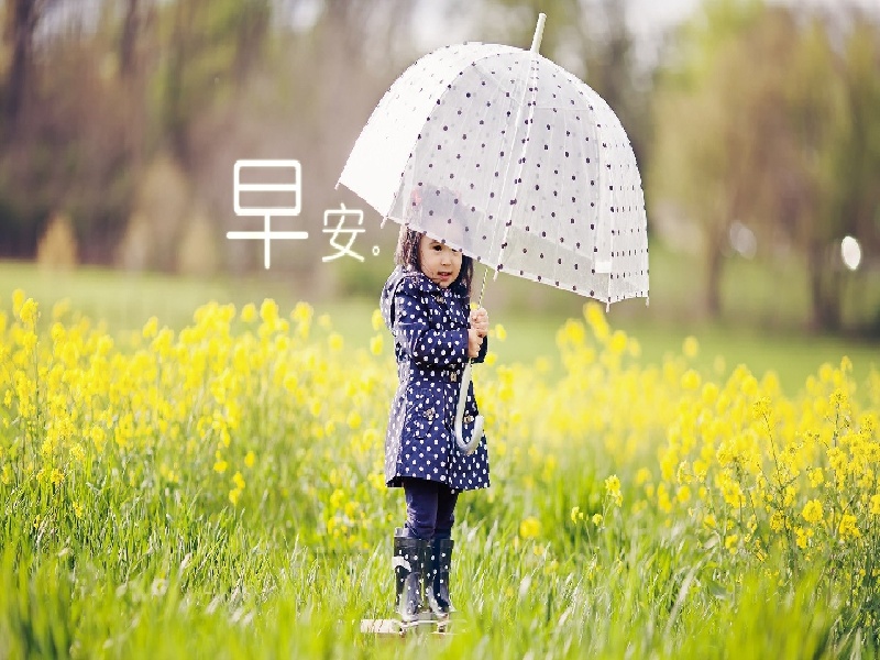 杨女士成功案例